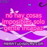 display no hay cosas imposibles solo gente incapaz