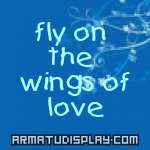 display fly on the wings of love