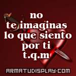 display no te imaginas lo que siento por ti t.q.m