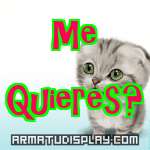 display Me  Quieres?