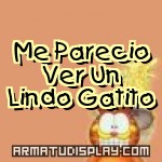 display Me Parecio Ver Un Lindo Gatito