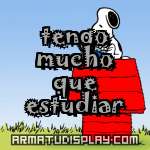 display tengo mucho que estudiar