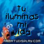 display tu iluminas mi vida