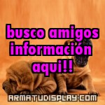 display busco amigos información aqui!!