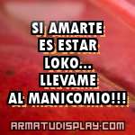 display SI AMARTE ES ESTAR LOKO... LLEVAME AL MANICOMIO!!!