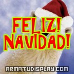 display FELIZ! NAVIDAD!