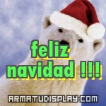 display feliz navidad !!!