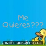 display Me Quieres???