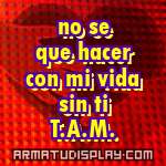 display no se que hacer con mi vida sin ti T.A.M.