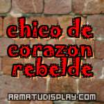 display chico de corazon rebelde