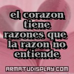 display el corazon tiene razones que la razon no entiende