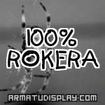 display 100% ROKERA