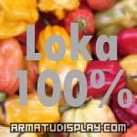 display Loka 100%